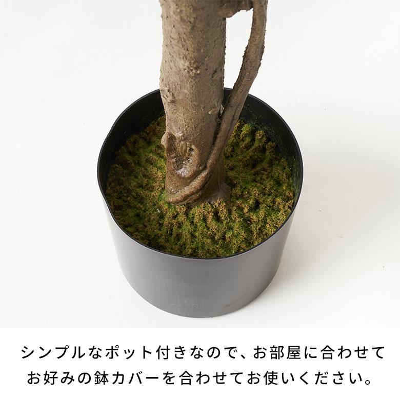 フェイクグリーン 大型 人工 観葉植物  インテリアグリーン フェイク オリーブ アートグリーン 樹木 おしゃれ 北欧 リゾート 雑貨 インテリア 西海岸 94861 | ブランド登録なし | 13