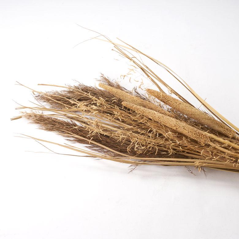 ドライフラワー 花束 フラワーアレンジメント 枝付き ドライプランツ ハンギング 観葉植物 スワッグ おしゃれ 北欧 リゾート 雑貨 インテリア 西海岸 94862 | ブランド登録なし | 10