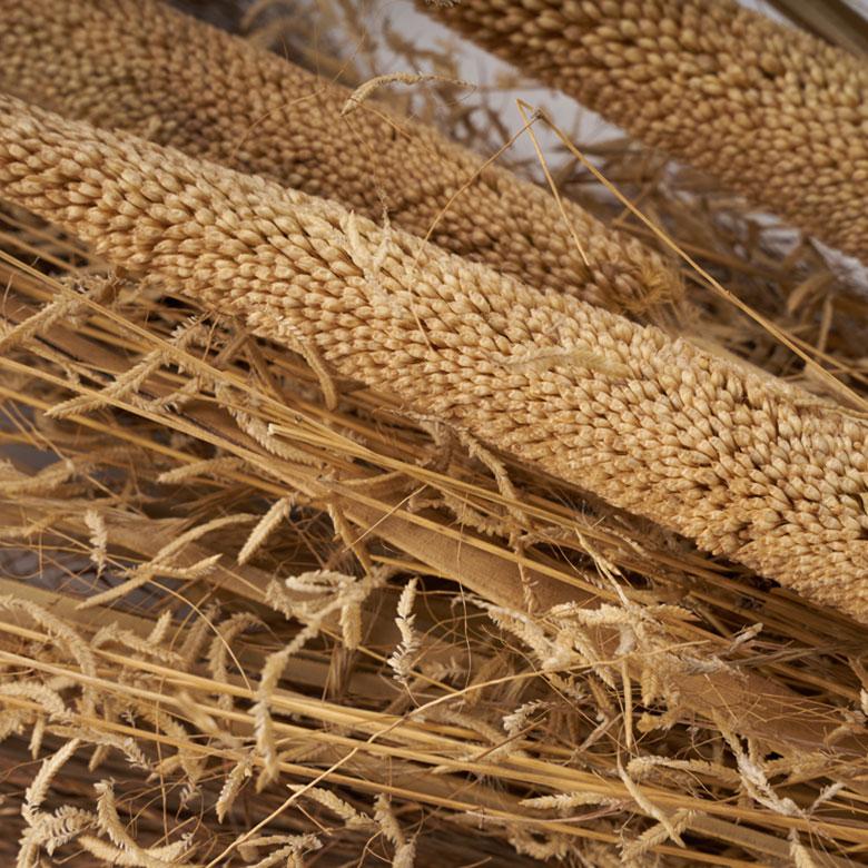 ドライフラワー 花束 フラワーアレンジメント 枝付き ドライプランツ ハンギング 観葉植物 スワッグ おしゃれ 北欧 リゾート 雑貨 インテリア 西海岸 94862 | ブランド登録なし | 12