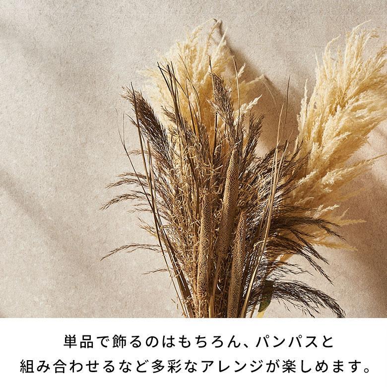 ドライフラワー 花束 フラワーアレンジメント 枝付き ドライプランツ ハンギング 観葉植物 スワッグ おしゃれ 北欧 リゾート 雑貨 インテリア 西海岸 94862 | ブランド登録なし | 06