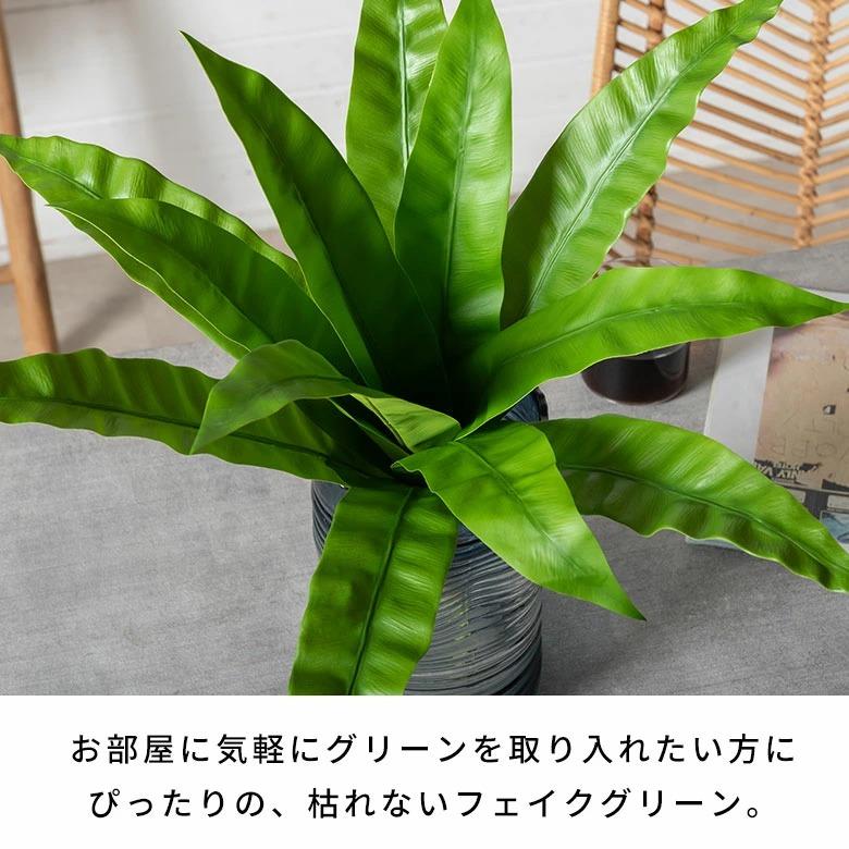 フェイクグリーン 観葉植物 枯れない 水やり不要 リアル フェイクフラワー インテリア 人工観葉植物 撮影小物 ナチュラル グリーン 94912 | ブランド登録なし | 14