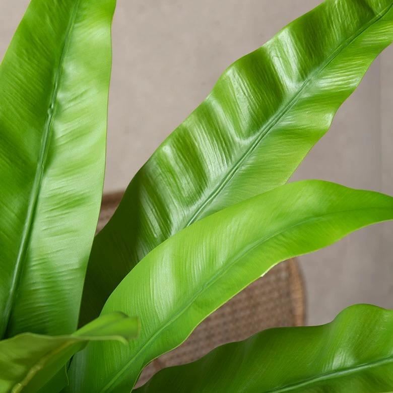 フェイクグリーン 観葉植物 枯れない 水やり不要 リアル フェイクフラワー インテリア 人工観葉植物 撮影小物 ナチュラル グリーン 94912 | ブランド登録なし | 15