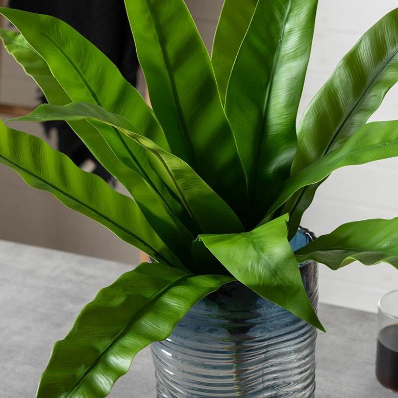 フェイクグリーン 観葉植物 枯れない 水やり不要 リアル フェイクフラワー インテリア 人工観葉植物 撮影小物 ナチュラル グリーン 94912 | ブランド登録なし | 16