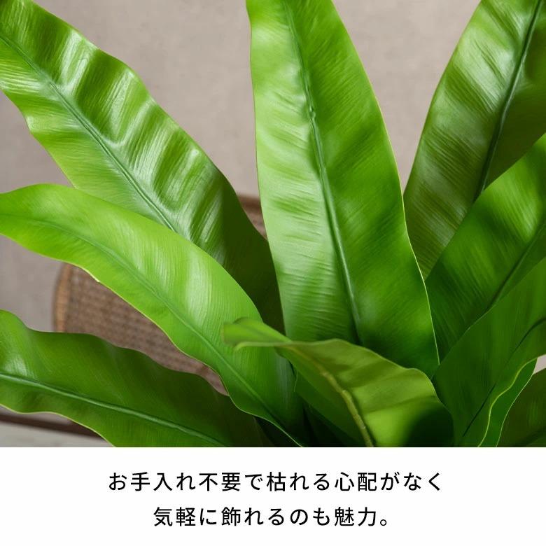 フェイクグリーン 観葉植物 枯れない 水やり不要 リアル フェイクフラワー インテリア 人工観葉植物 撮影小物 ナチュラル グリーン 94912 | ブランド登録なし | 04