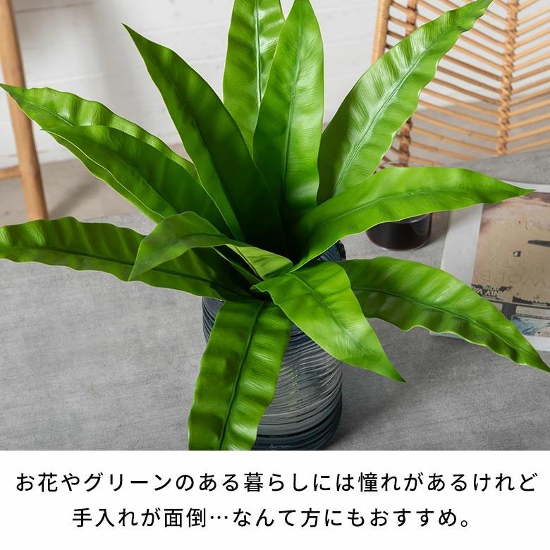 フェイクグリーン 観葉植物 枯れない 水やり不要 リアル フェイクフラワー インテリア 人工観葉植物 撮影小物 ナチュラル グリーン 94912 | ブランド登録なし | 08