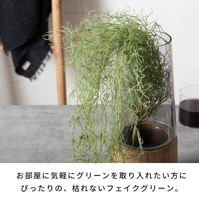 フェイクグリーン エアープランツ 吊り下げ 枯れない 水やり不要 リアル フェイクフラワー インテリア 撮影小物 ナチュラル ボタニカル 94914 | ブランド登録なし | 14