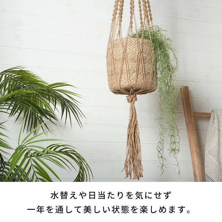 フェイクグリーン エアープランツ 吊り下げ 枯れない 水やり不要 リアル フェイクフラワー インテリア 撮影小物 ナチュラル ボタニカル 94914 | ブランド登録なし | 05
