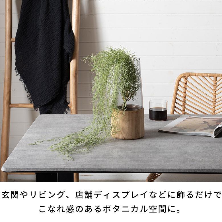 フェイクグリーン エアープランツ 吊り下げ 枯れない 水やり不要 リアル フェイクフラワー インテリア 撮影小物 ナチュラル ボタニカル 94914 | ブランド登録なし | 06