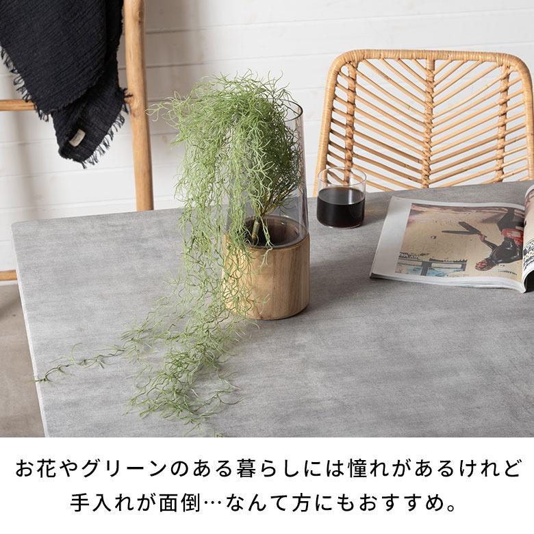 フェイクグリーン エアープランツ 吊り下げ 枯れない 水やり不要 リアル フェイクフラワー インテリア 撮影小物 ナチュラル ボタニカル 94914 | ブランド登録なし | 08