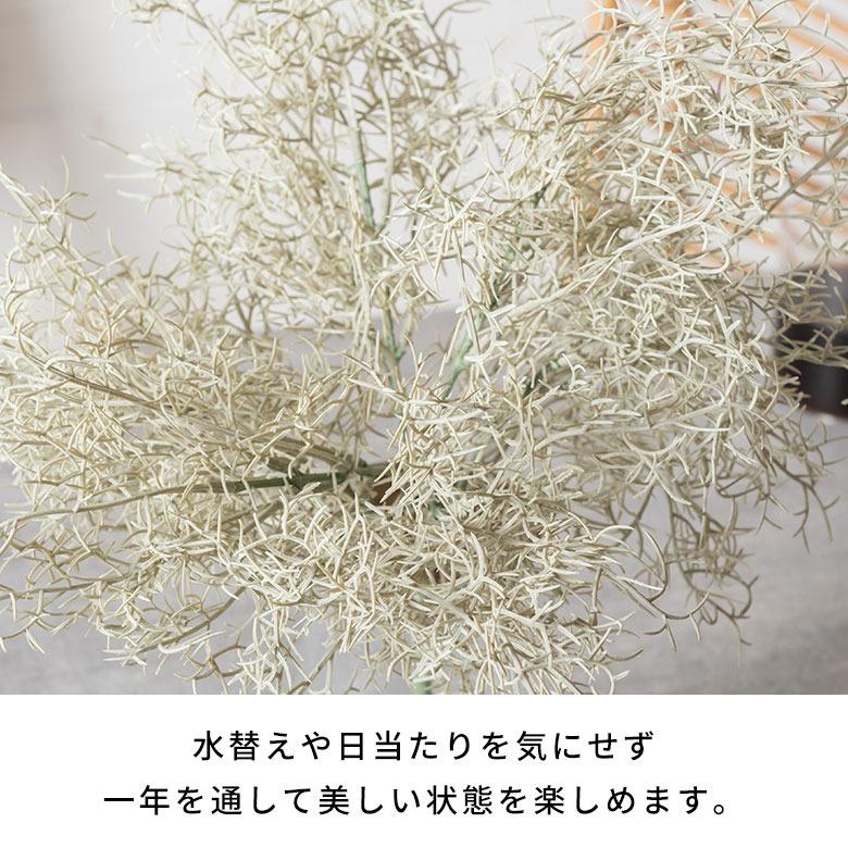 アーティフィシャルフラワー 造花 スパニッシュモス 枯れない 水やり不要 リアル フェイクフラワー インテリア 白 ナチュラル ボタニカル 94915 | ブランド登録なし | 05