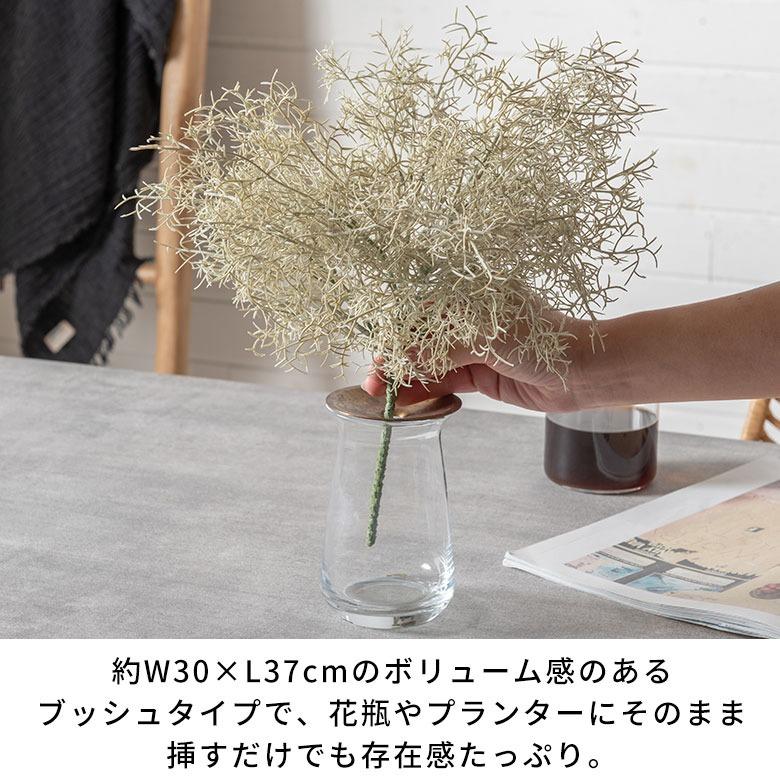 アーティフィシャルフラワー 造花 スパニッシュモス 枯れない 水やり不要 リアル フェイクフラワー インテリア 白 ナチュラル ボタニカル 94915 | ブランド登録なし | 06