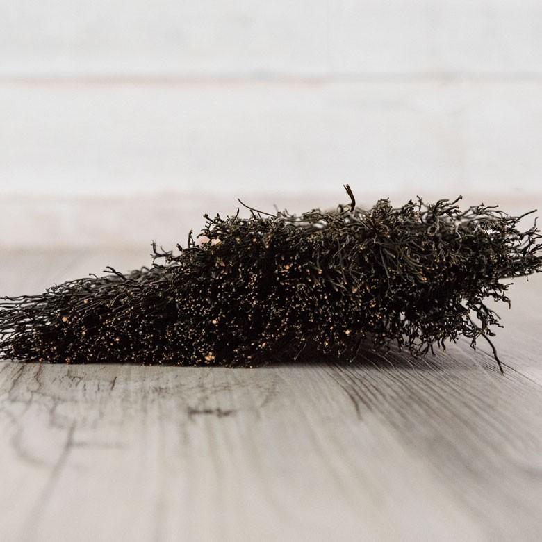 ほうき M ハンドタイプ 天然素材 藁 掃除 掃除道具 清掃 コンパクト デスク ソルガム 約85cm おしゃれ 95030 | ブランド登録なし | 05