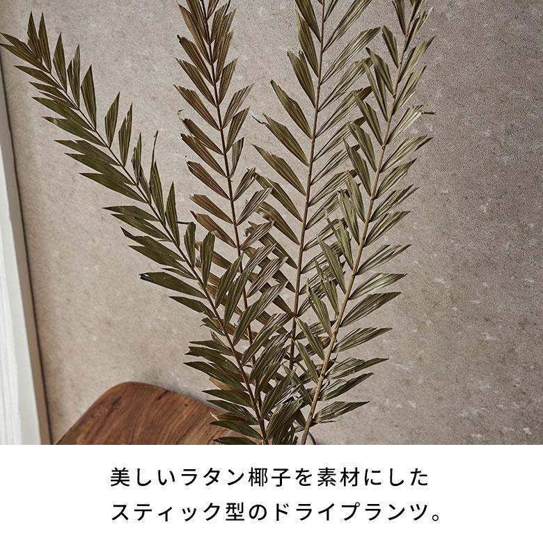 ドライ フラワー ラタン ヤシ グリーン 高さ74cm プランツ リーフ 花材 ハンキング スワッグ アート ディスプレイ おしゃれ インテリア 雑貨 西海岸 98105 |  | 01