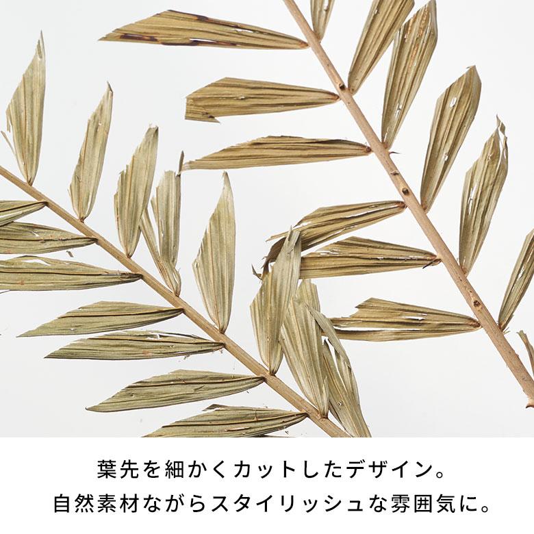 ドライ フラワー ラタン ヤシ グリーン 高さ74cm プランツ リーフ 花材 ハンキング スワッグ アート ディスプレイ おしゃれ インテリア 雑貨 西海岸 98105 |  | 04