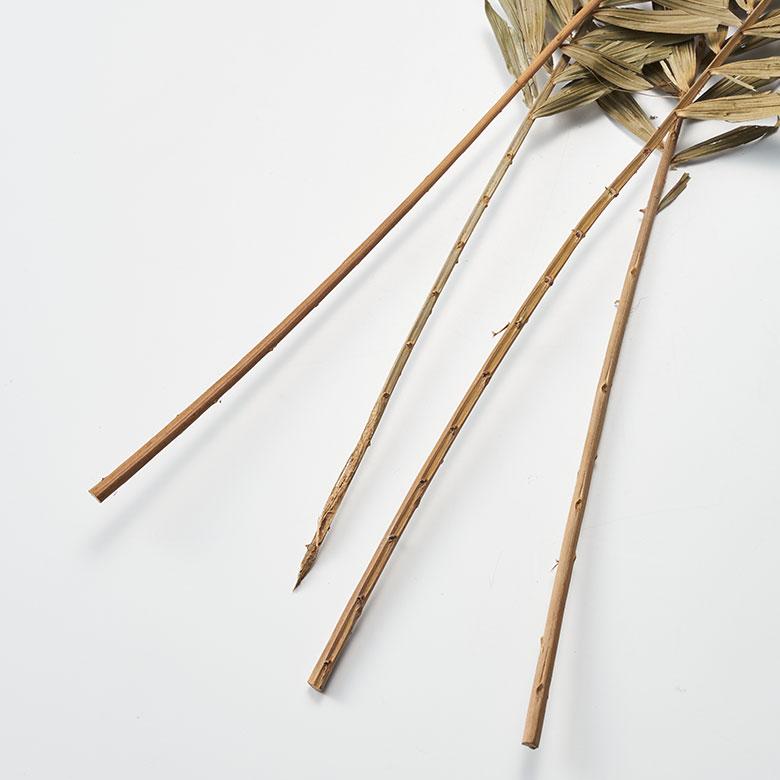 ドライ フラワー ラタン ヤシ グリーン 高さ74cm プランツ リーフ 花材 ハンキング スワッグ アート ディスプレイ おしゃれ インテリア 雑貨 西海岸 98105 |  | 05