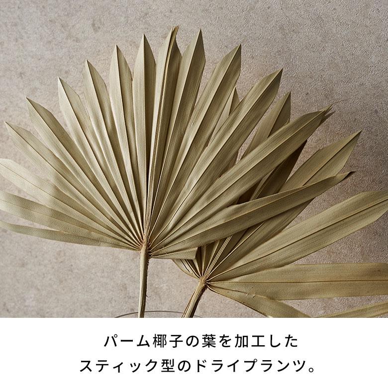 ドライ フラワー ファン パーム リーフ ヤシ 高さ55cm プランツ 花材 ハンキング スワッグ アート ディスプレイ おしゃれ インテリア 雑貨 西海岸 98106 |  | 03