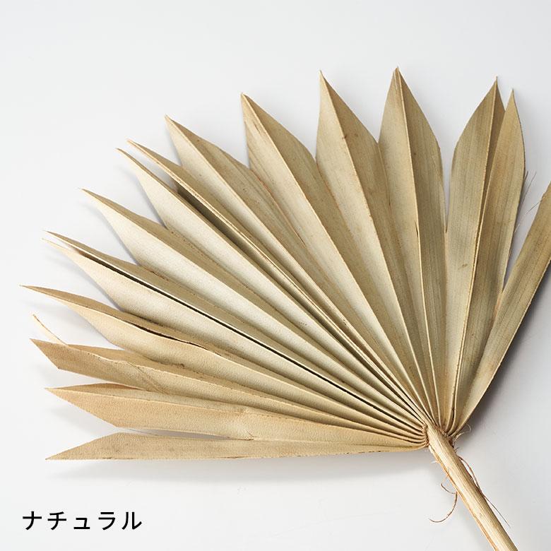 ドライ フラワー ファン パーム リーフ ヤシ 高さ55cm プランツ 花材 ハンキング スワッグ アート ディスプレイ おしゃれ インテリア 雑貨 西海岸 98106 |  | 09