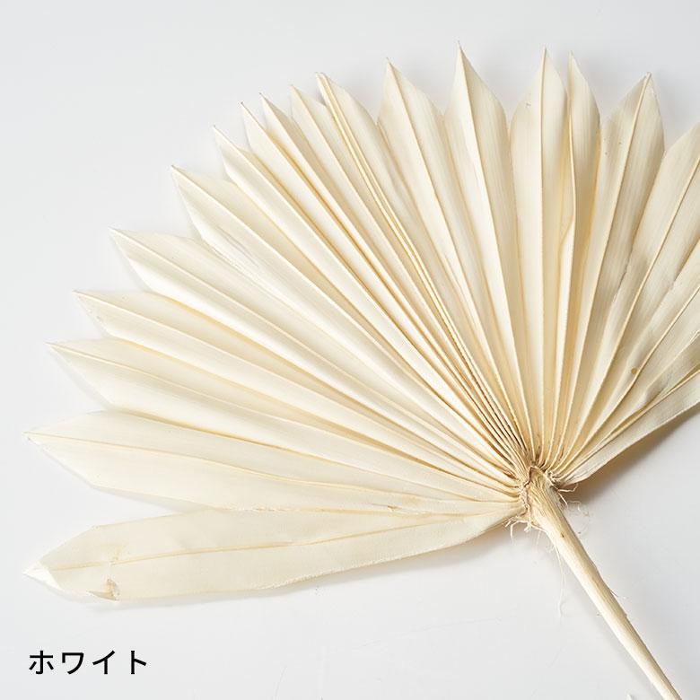 ドライ フラワー ファン パーム リーフ ヤシ 高さ55cm プランツ 花材 ハンキング スワッグ アート ディスプレイ おしゃれ インテリア 雑貨 西海岸 98106 |  | 11