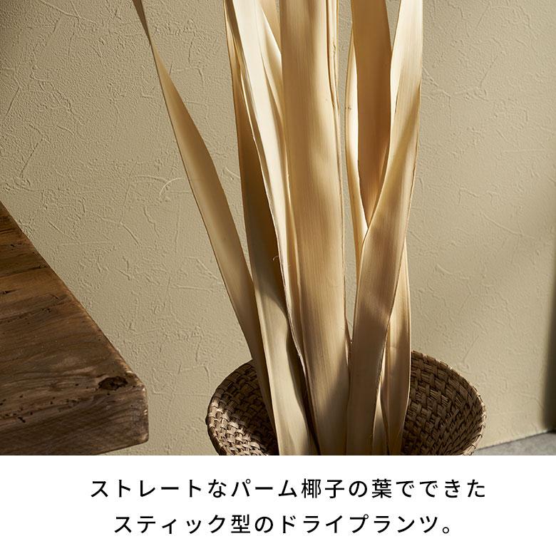 ドライ フラワー パーム リーフ ヤシ 高さ120cm プランツ 花材 ハンキング スワッグ アート ディスプレイ おしゃれ インテリア 雑貨 ナチュラル 西海岸 98107 |  | 03