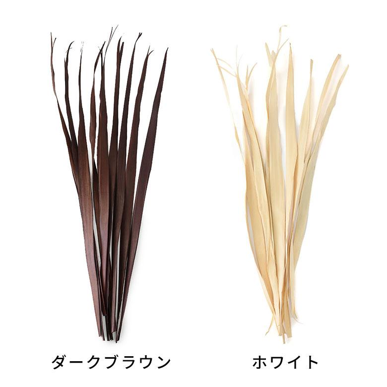 ドライ フラワー パーム リーフ ヤシ 高さ120cm プランツ 花材 ハンキング スワッグ アート ディスプレイ おしゃれ インテリア 雑貨 ナチュラル 西海岸 98107 |  | 07