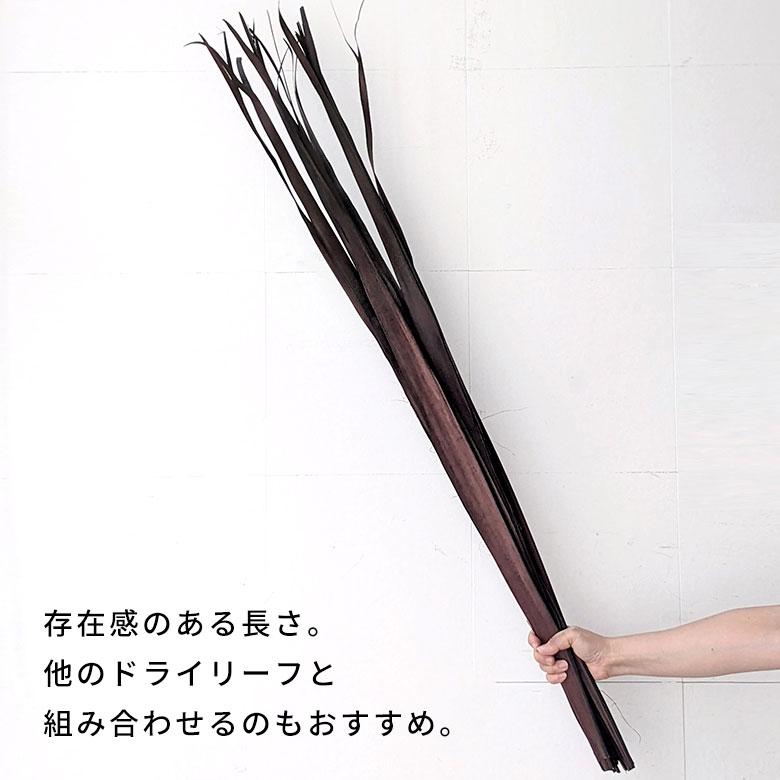 ドライ フラワー パーム リーフ ヤシ 高さ120cm プランツ 花材 ハンキング スワッグ アート ディスプレイ おしゃれ インテリア 雑貨 ナチュラル 西海岸 98107 |  | 08
