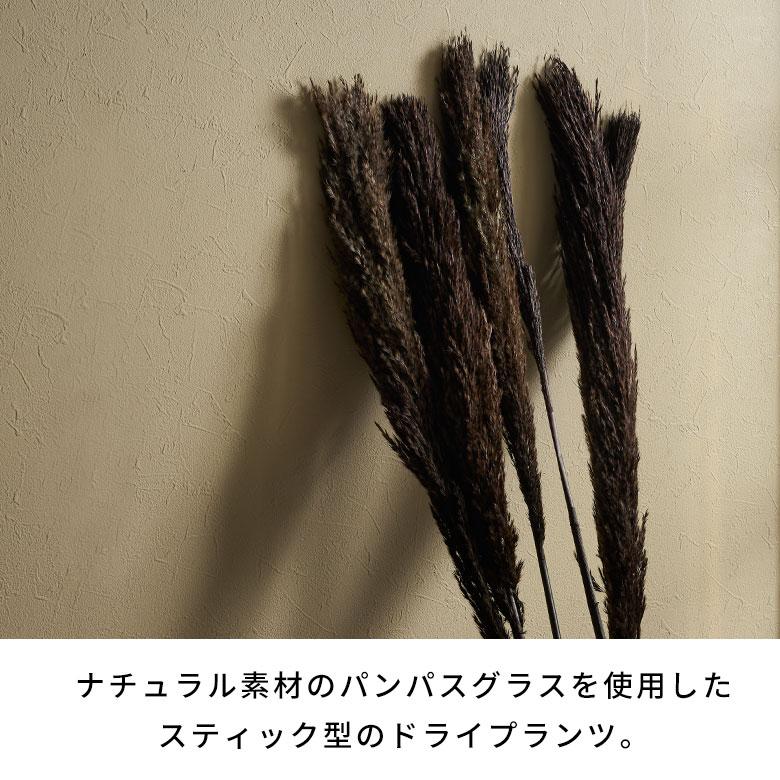 ドライ フラワー パンパスグラス リーフ 高さ55cm プランツ 花材 ハンキング スワッグ アート ディスプレイ おしゃれ インテリア 雑貨 ナチュラル 西海岸 98108 | ブランド登録なし | 03