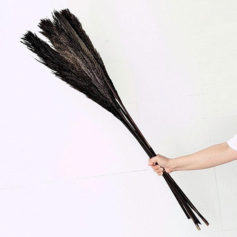ドライ フラワー パンパスグラス リーフ 高さ55cm プランツ 花材 ハンキング スワッグ アート ディスプレイ おしゃれ インテリア 雑貨 ナチュラル 西海岸 98108 | ブランド登録なし | 10
