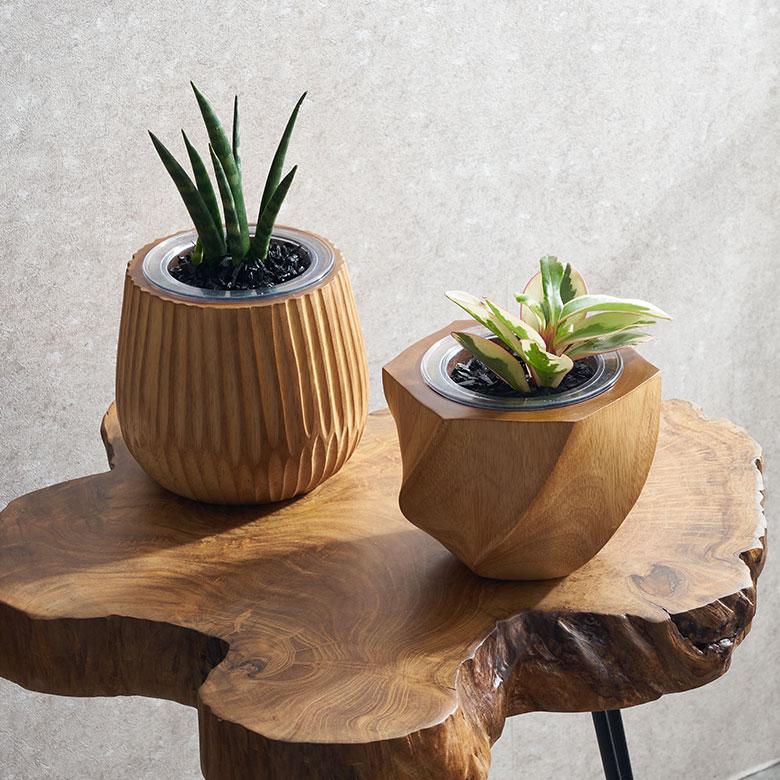 プランターカバー 天然 木 製 マンゴー ウッド 3号 インナー ポット 付き 底穴なし 直径 約 15cm 高さ 13cm 植木 鉢 おしゃれ 北欧 カフェ 雑貨 西海岸 98113 |  | 10