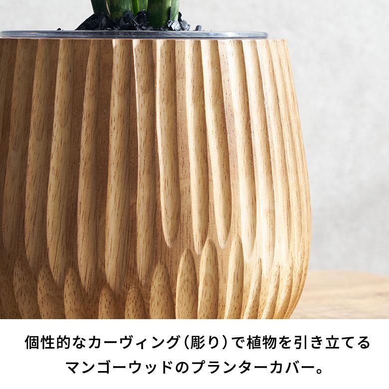 プランターカバー 天然 木 製 マンゴー ウッド 3号 インナー ポット 付き 底穴なし 直径 約 15cm 高さ 13cm 植木 鉢 おしゃれ 北欧 カフェ 雑貨 西海岸 98113 |  | 01