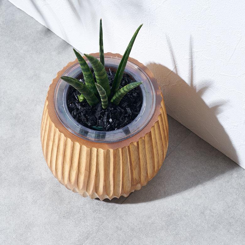 プランターカバー 天然 木 製 マンゴー ウッド 3号 インナー ポット 付き 底穴なし 直径 約 15cm 高さ 13cm 植木 鉢 おしゃれ 北欧 カフェ 雑貨 西海岸 98113 |  | 06