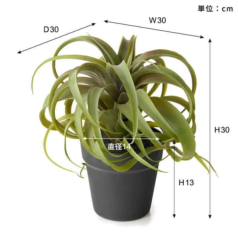 フェイク グリーン チランジア キセログラフィカ 高さ 30cm 人工 観葉 植物 エア プランツ 造花 アート ディスプレイ おしゃれ 北欧 カフェ 西海岸 98114 |  | 10
