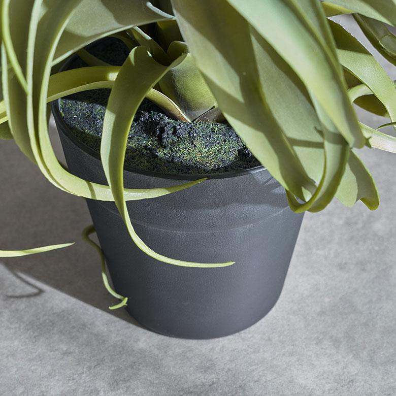 フェイク グリーン チランジア キセログラフィカ 高さ 30cm 人工 観葉 植物 エア プランツ 造花 アート ディスプレイ おしゃれ 北欧 カフェ 西海岸 98114 |  | 07