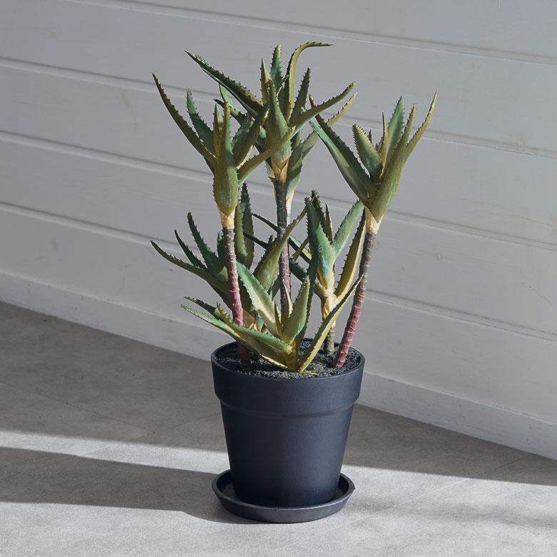 フェイク グリーン キダチ アロエ 高さ 42cm 人工 観葉 植物 多肉 プランツ オブジェ 造花 アート ディスプレイ おしゃれ 北欧 店舗 インテリア 西海岸 98115 | 