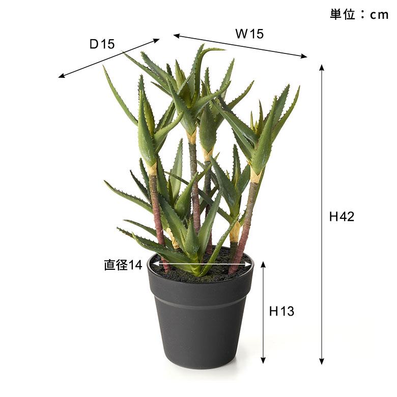 フェイク グリーン キダチ アロエ 高さ 42cm 人工 観葉 植物 多肉 プランツ オブジェ 造花 アート ディスプレイ おしゃれ 北欧 店舗 インテリア 西海岸 98115 |  | 10