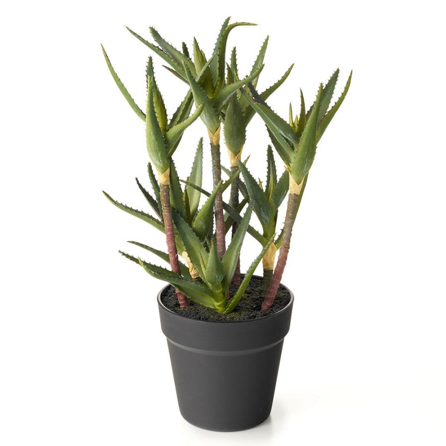 フェイク グリーン キダチ アロエ 高さ 42cm 人工 観葉 植物 多肉