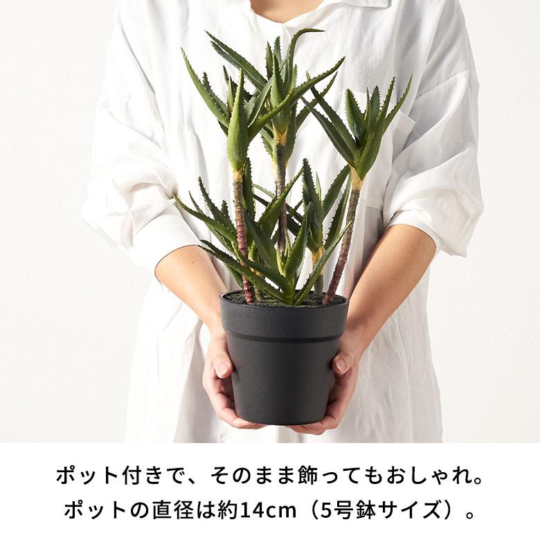 フェイク グリーン キダチ アロエ 高さ 42cm 人工 観葉 植物 多肉 プランツ オブジェ 造花 アート ディスプレイ おしゃれ 北欧 店舗 インテリア 西海岸 98115 |  | 04