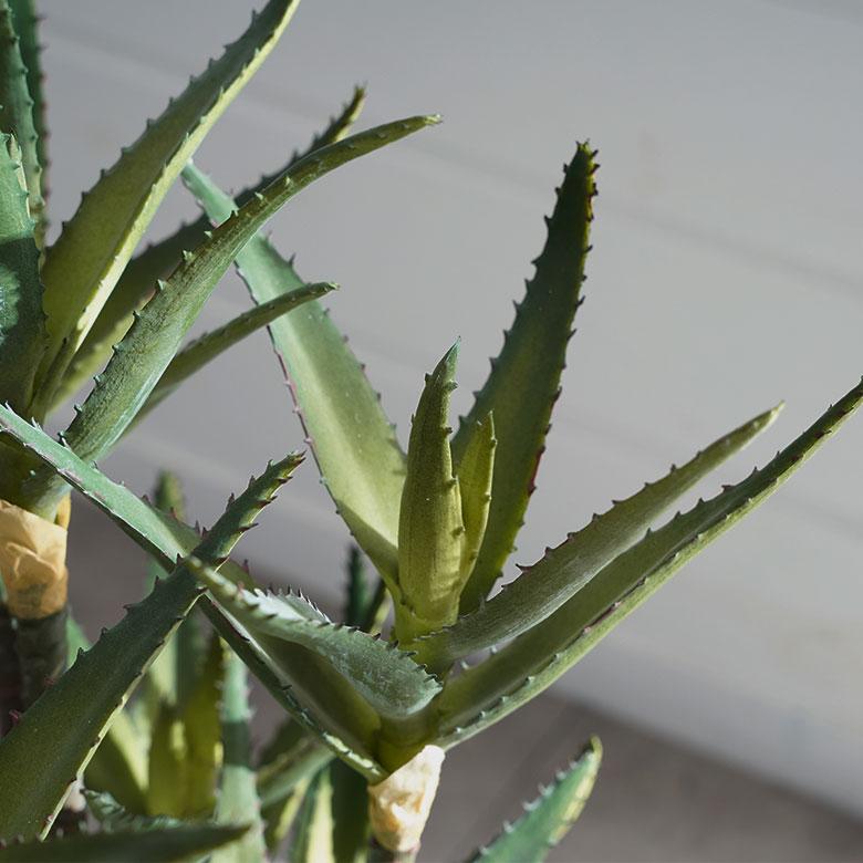 フェイク グリーン キダチ アロエ 高さ 42cm 人工 観葉 植物 多肉 プランツ オブジェ 造花 アート ディスプレイ おしゃれ 北欧 店舗 インテリア 西海岸 98115 |  | 06