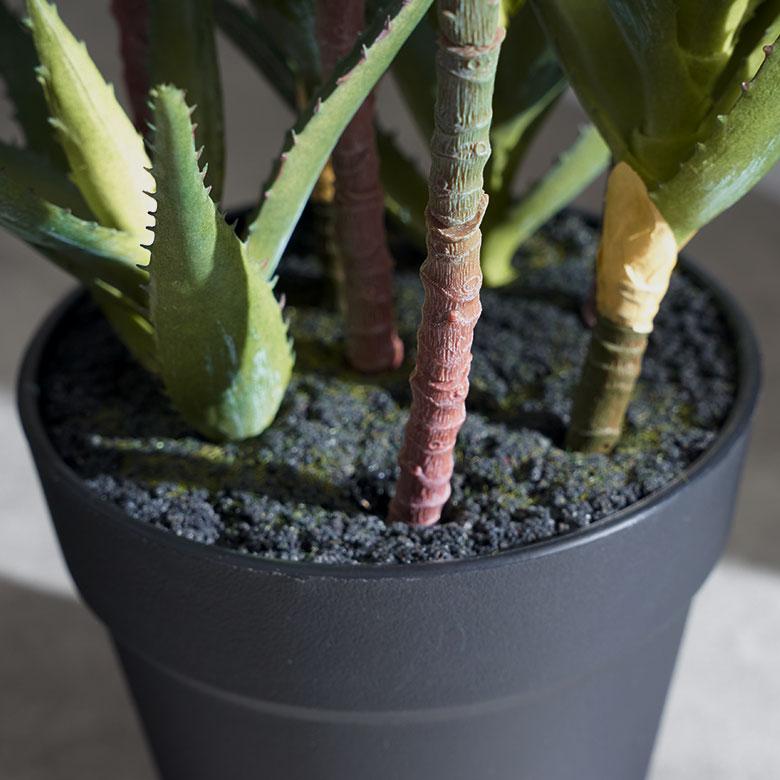 フェイク グリーン キダチ アロエ 高さ 42cm 人工 観葉 植物 多肉 プランツ オブジェ 造花 アート ディスプレイ おしゃれ 北欧 店舗 インテリア 西海岸 98115 |  | 08