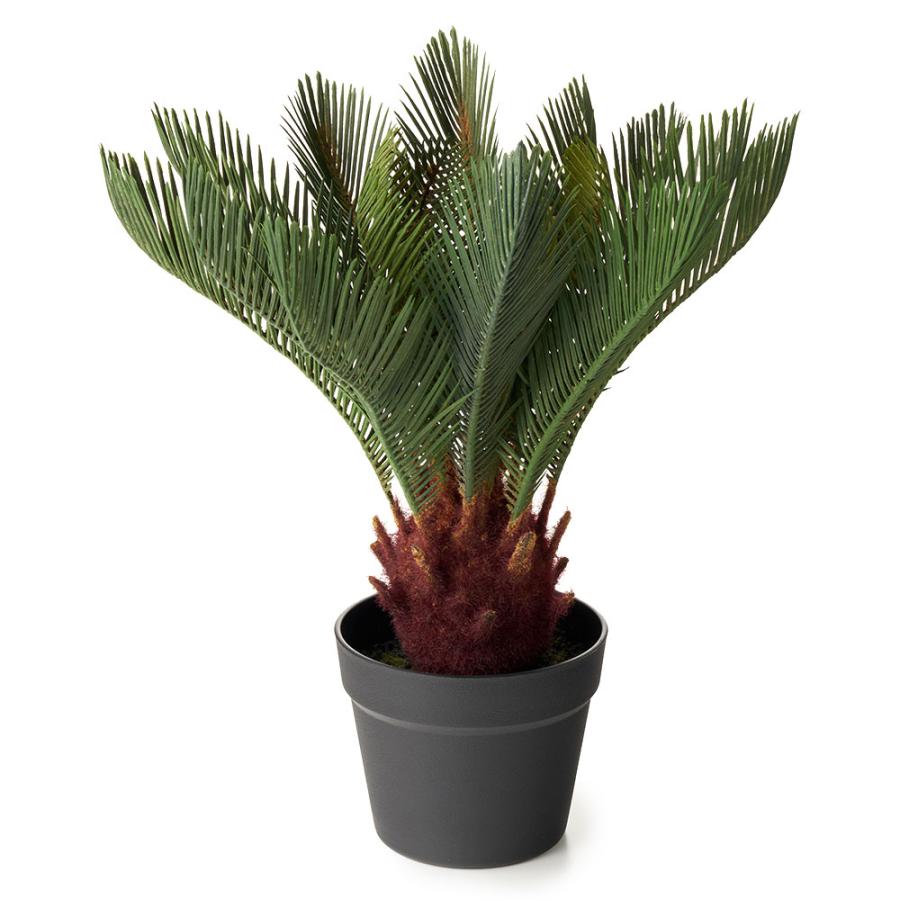 フェイク グリーン ソテツ 高さ 47cm 人工 観葉 植物 オブジェ 造花