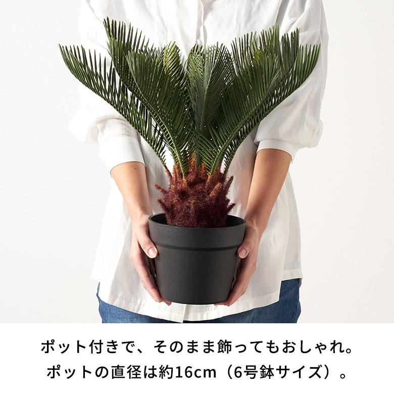 フェイク グリーン ソテツ 高さ 47cm 人工 観葉 植物 オブジェ 造花