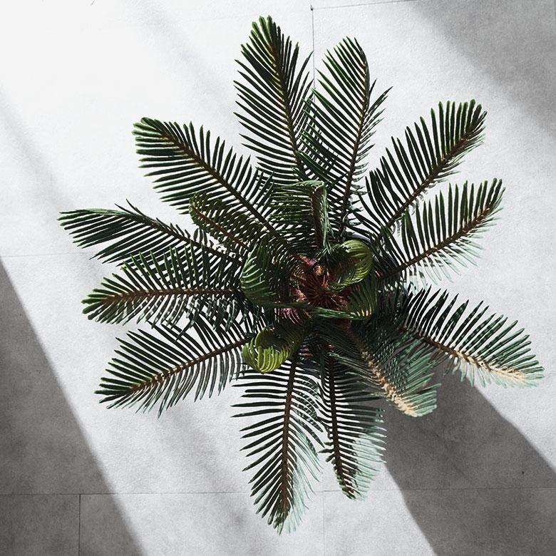 フェイク グリーン ソテツ 高さ 47cm 人工 観葉 植物 オブジェ 造花