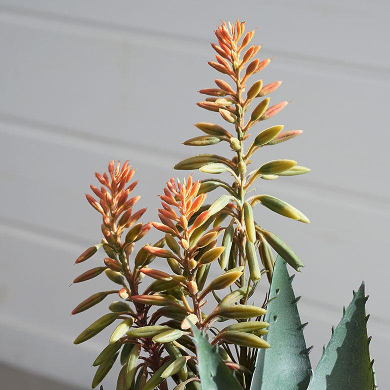 フェイク グリーン アロエ 高さ 42cm 人工 観葉 植物 花 多肉 プランツ オブジェ 造花 アート ディスプレイ おしゃれ 北欧 店舗 インテリア 西海岸 98117 |  | 07