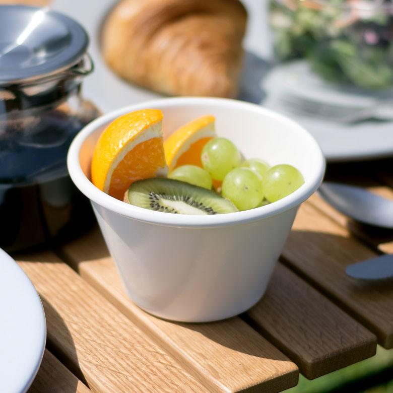 ボウル 皿 深皿 ホーロー 食器 カップ 日本製 プラットチャンプ 直火可 アウトドア キャンプ 北欧 おしゃれ パステルカラー キッチン用品 98500 | ブランド登録なし | 01