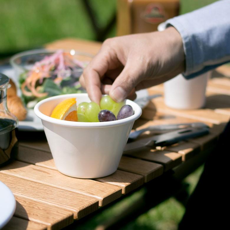 ボウル 皿 深皿 ホーロー 食器 カップ 日本製 プラットチャンプ 直火可 アウトドア キャンプ 北欧 おしゃれ パステルカラー キッチン用品 98500 | ブランド登録なし | 02