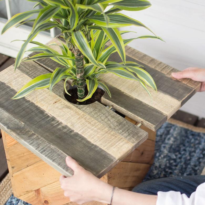 プランツテーブル ガーデンテーブル テーブル 天然木製 角型 45cm × 45cm チーク マンゴー アウトドア コーヒーテーブル 観葉植物 ガーデニング 98607 | ブランド登録なし | 02