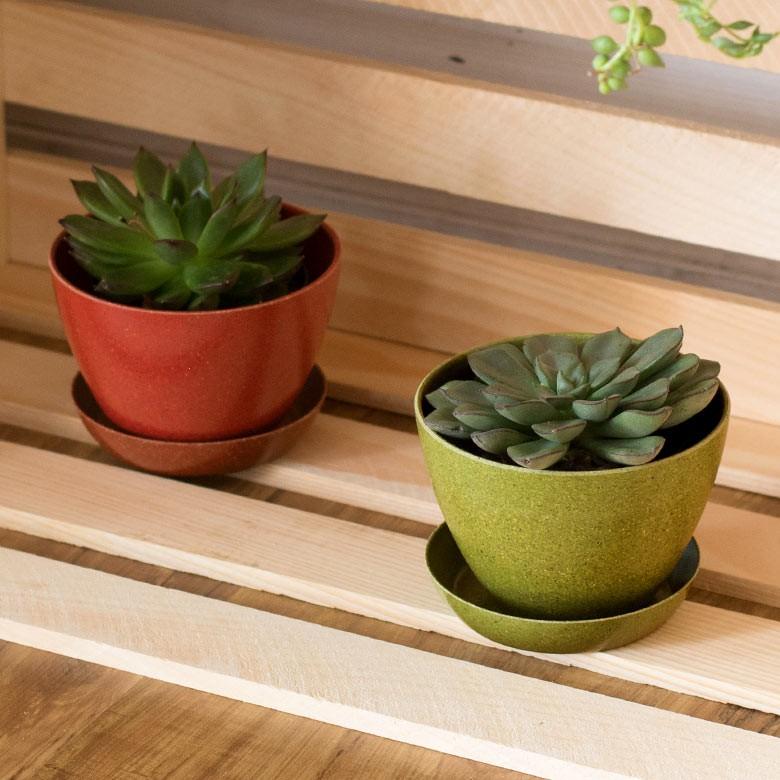 エコポット プランター 植木鉢 小物入れ カバー 鉢 3.3号 ガーデニング 観葉植物 花 鉢植え アメリカ製 おしゃれ 園芸 ベランダ アースカラー 98700 | ブランド登録なし | 06