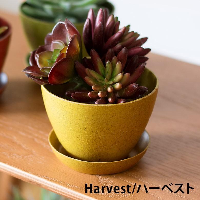 エコポット プランター 植木鉢 小物入れ カバー 鉢 3.3号 ガーデニング 観葉植物 花 鉢植え アメリカ製 おしゃれ 園芸 ベランダ アースカラー 98700 | ブランド登録なし | 09