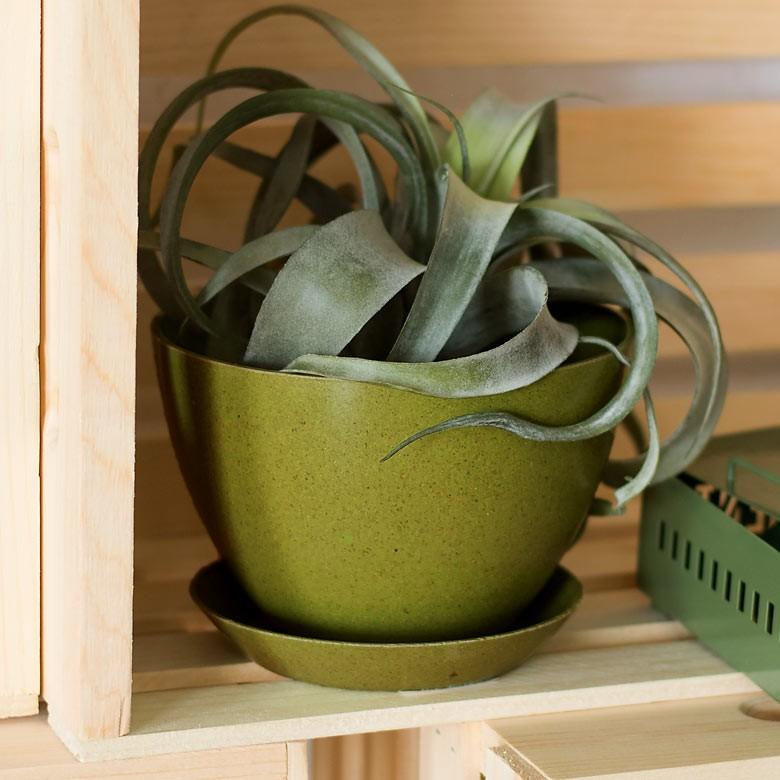 エコポット プランター 植木鉢 小物入れ カバー 鉢 6号 ガーデニング 観葉植物 花 鉢植え アメリカ製 おしゃれ 園芸 ベランダ アースカラー Elements 通販 Paypayモール