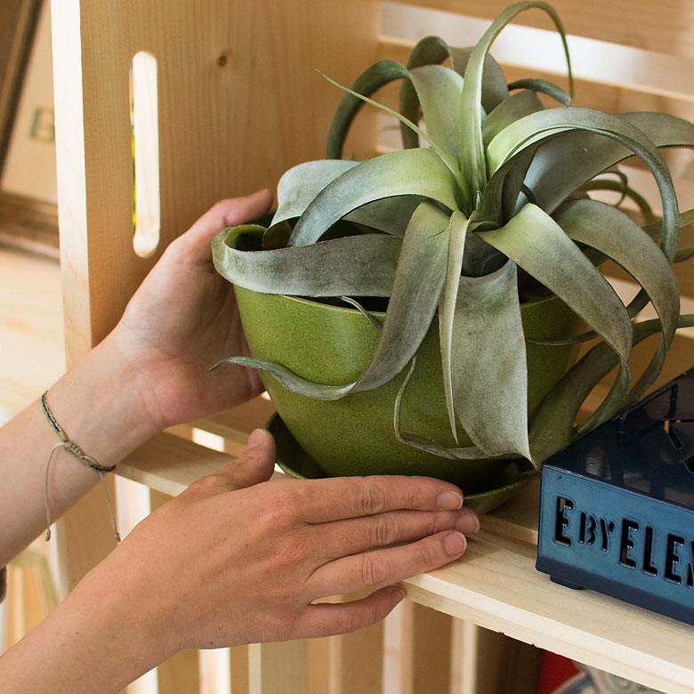 エコポット プランター 植木鉢 小物入れ カバー 鉢 6号 ガーデニング 観葉植物 花 鉢植え アメリカ製 おしゃれ 園芸 ベランダ アースカラー 98701 | ブランド登録なし | 06