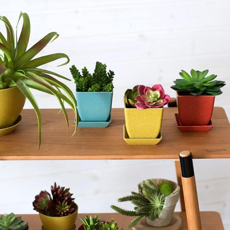 エコポット プランター 植木鉢 小物入れ カバー 鉢 2.8号 ガーデニング 観葉植物 花 鉢植え アメリカ製 おしゃれ 園芸 ベランダ アースカラー 98702 | ブランド登録なし | 11